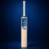 ChatGPT Image Sep 10, 2026, 12_08_56 PM SS Custom English Willow Cricket Bat